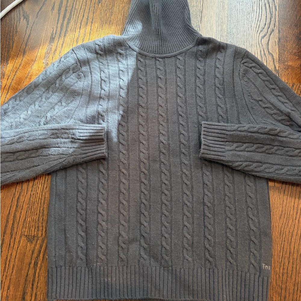 TNA Aritzia turtleneck sweater